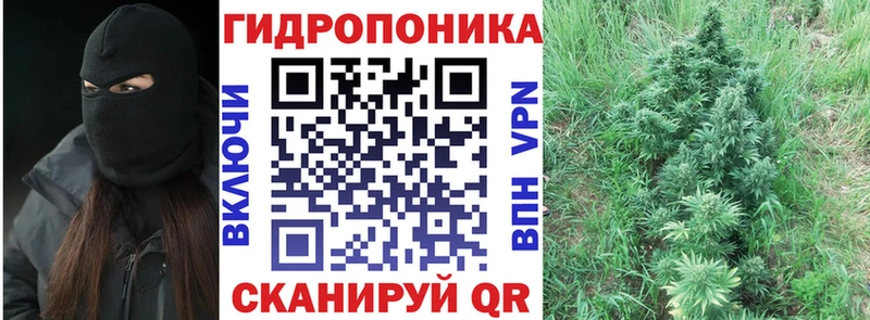 Цена Ковылкино COCAIN Мефедрон Галлюциногенные грибы АМФ Гашиш A-PVP