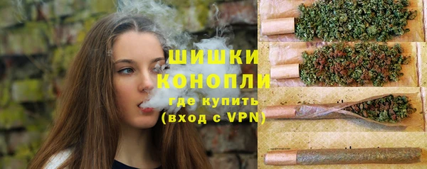 скорость Бородино