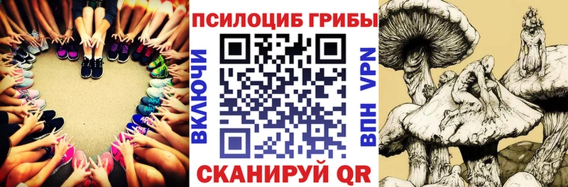 Псилоцибиновые грибы Psilocybine cubensis  blacksprut ссылки  Ковылкино 